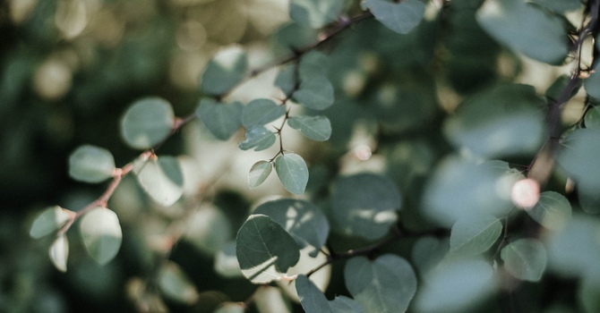 Non-Insured Health Benefits for First Nations 