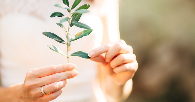 Non-Insured Health Benefits for First Nations 